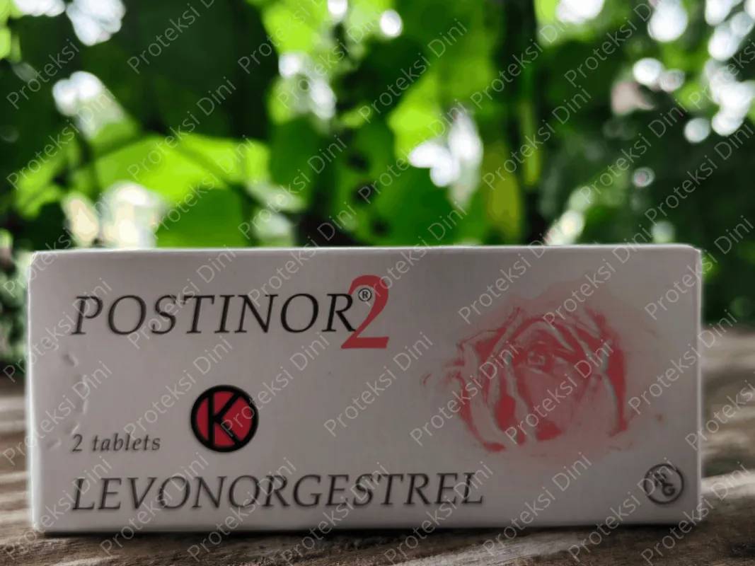 3 Hari Menentukan Masa Depan: Pentingnya Kontrasepsi Darurat Setelah Berhubungan Seks Tanpa Pengaman